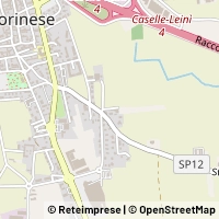 Map Caselle Torinese