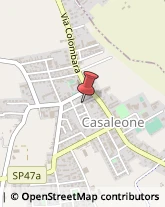 Via San Biagio, 17,37052Casaleone