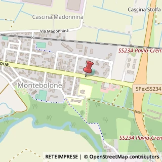 Mappa Viale cremona 250/b, 27100 Pavia, Pavia (Lombardia)