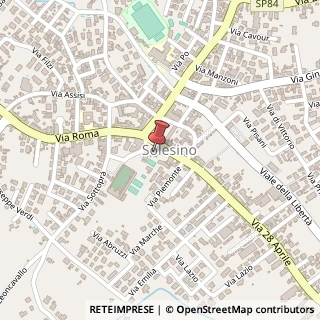 Mappa Via Roma, 48, 35047 Solesino, Padova (Veneto)