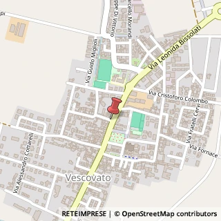 Mappa Piazza Roma, 37, 26039 Vescovato, Cremona (Lombardia)