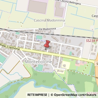 Mappa Viale Cremona, 250, 27100 Pavia, Pavia (Lombardia)