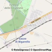 Hartă San Giorgio Bigarello