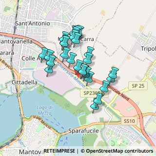 Mappa Viale della Favorita, 46100 Mantova MN, Italia (0.72222)