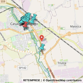 Mappa Via Duccio Galimberti, 26841 Casalpusterlengo LO, Italia (1.229)