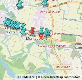 Mappa Via Grumello, 27100 Pavia PV, Italia (1.247)