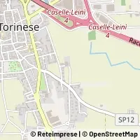 Karte Caselle Torinese
