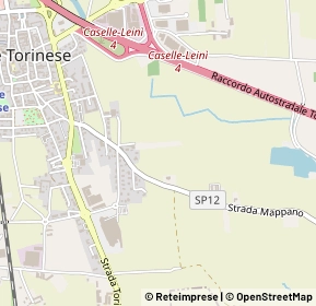 Mappa 10072 Caselle Torinese TO, Italia (0.388)