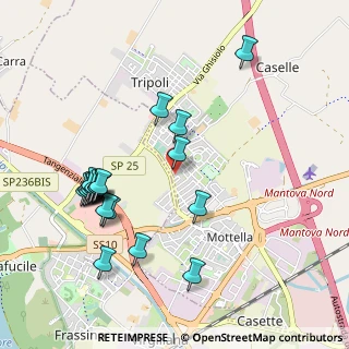 Mappa Piazza S. Giorgio, 46030 Mantova MN, Italia (1.055)