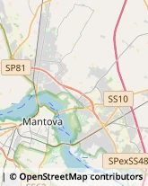 Pelletterie - Dettaglio Mantova,46100Mantova