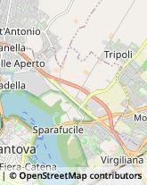 Pelletterie - Dettaglio Mantova,46100Mantova