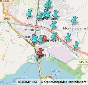 Mappa Via Terracini, 46100 Mantova MN, Italia (0.924)