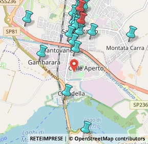 Mappa Via Terracini, 46100 Mantova MN, Italia (1.189)