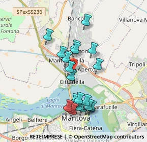 Mappa Via Terracini, 46100 Mantova MN, Italia (1.699)