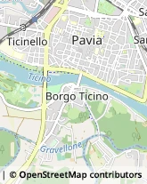 Via Trieste, 39,27011Belgioioso