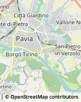 Vivai Piante e Fiori Pavia,27100Pavia