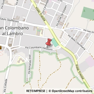 Mappa Via Valsasino, 70, 20078 San Colombano al Lambro, Milano (Lombardia)