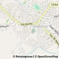 Kart Solesino