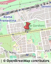 Via Prenestina, 319,00177Roma