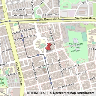 Mappa Via Federico Delpino,  130, 00171 Roma, Roma (Lazio)
