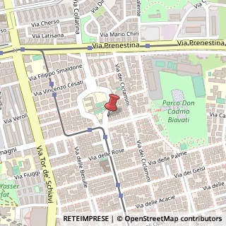 Mappa Piazza Teofrasto, 17, 00171 Roma, Roma (Lazio)