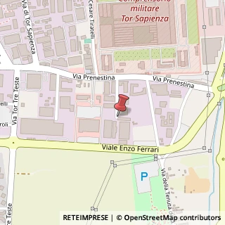 Mappa Via Pasquale Alecce, 50, 00155 Roma, Roma (Lazio)