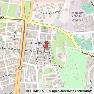 Mappa Via Ostuni, 19, 00171 Roma, Roma (Lazio)