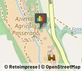 Aziende Agricole,00010Roma
