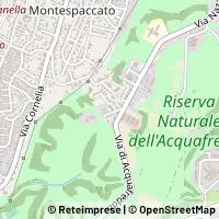 Map Roma