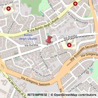 Mappa Via Aurelia,  309, 00165 Roma, Roma (Lazio)