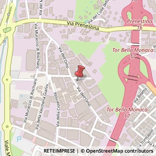 Mappa Via dell'Omo, 101, 00155 Roma, Roma (Lazio)