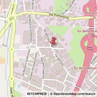 Mappa Via dell'Omo, 00155 Roma RM, Italia, 00155 Roma, Roma (Lazio)