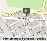 Asili Nido,00132Roma