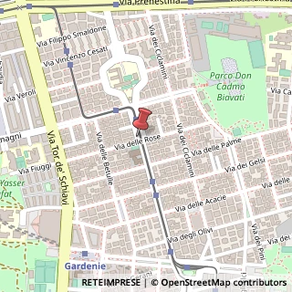 Mappa Via delle Rose, 47, 00171 Roma, Roma (Lazio)