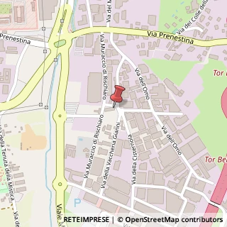 Mappa Via della Vaccheria Gianni, 68, 00155 Roma, Roma (Lazio)