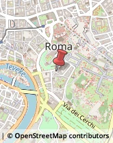 Via dei Fienili, 60,00186Roma