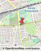 Via Prenestina, 246,00177Roma