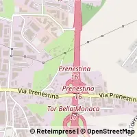 Map Roma