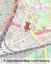 Via Domenico Cucchiari, 33,00159Roma