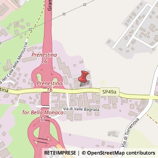 Mappa Via Prenestina, 1095, 00132 Roma, Roma (Lazio)