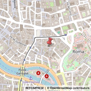 Mappa Via Michelangelo Caetani, 9, 00186 Roma, Roma (Lazio)