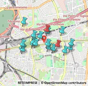 Mappa Viale Ronchi, 00177 Roma RM, Italia (0.75)