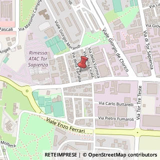 Mappa Via della Farfalla, 8, 00155 Roma, Roma (Lazio)