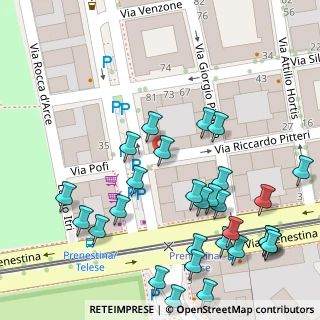 Mappa Viale della Stazione Prenestina, 00177 Roma RM, Italia (0.07931)