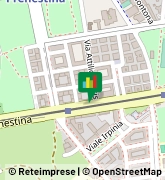 Via Prenestina, 291,00177Roma