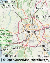 Pubblicità Esterna e Mobile - Concessionari Roma,00154Roma