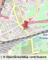 Via di Portonaccio, 184,00159Roma