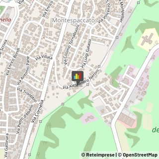 Locali, Birrerie e Pub,00166Roma