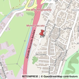 Mappa Via Giavina Pietro Maria, 119, 00166 Roma, Roma (Lazio)