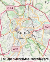 Pelletterie - Ingrosso e Produzione Roma,00192Roma